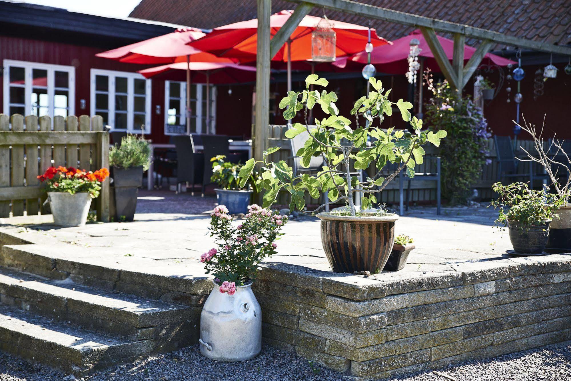 Hostel Rosengaarden Boderne Zewnętrze zdjęcie